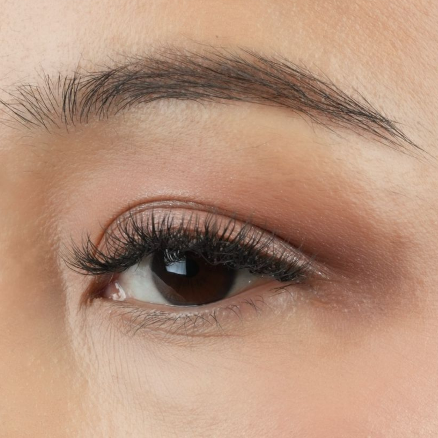 MATA HATI by SO.LEK: CAHAYA