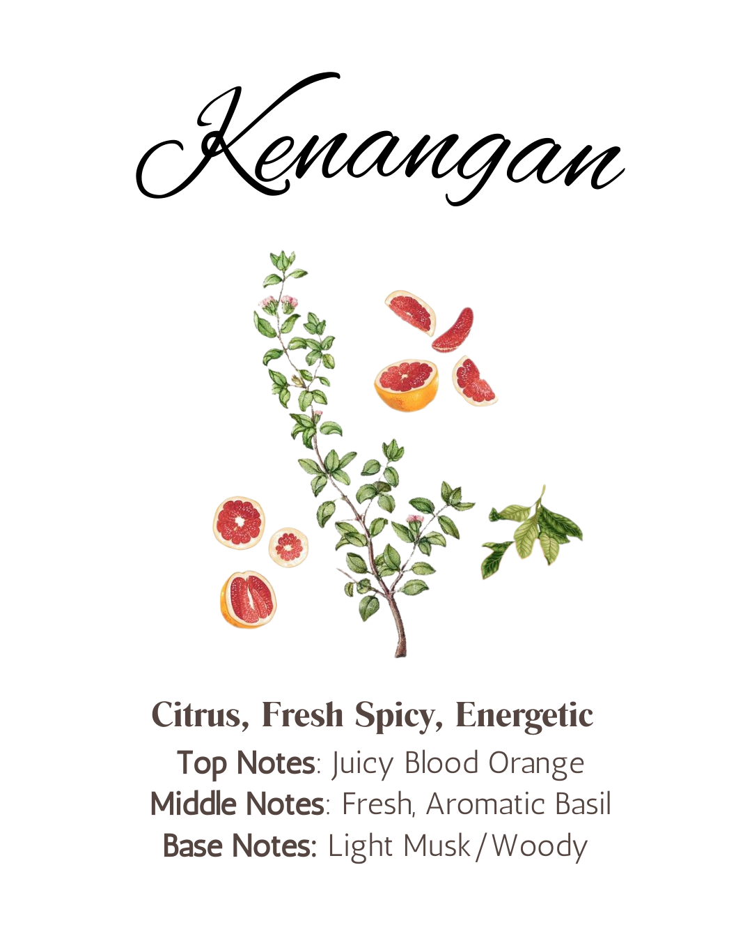 WANGI by SO.LEK: KENANGAN