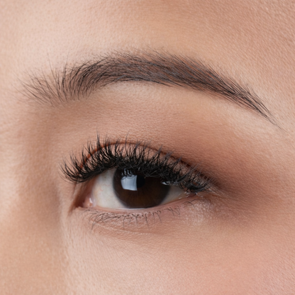 MATA HATI by SO.LEK: MENTARI